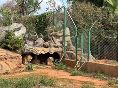 -海南热带野生动植物园
