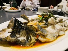 青花椒蒸龙胆鱼-闽和南(深圳万象城店)