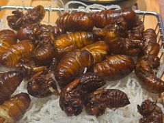 -鸽子窝(青塔店)