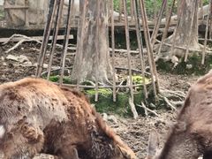 -无锡动物园·太湖欢乐园