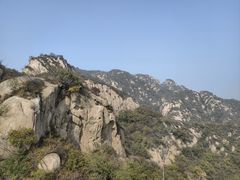 -大岭沟猕猴桃谷风景区