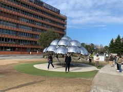 -金泽21世纪美术馆