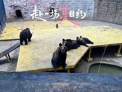 -二一九公园