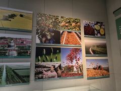 -三五九旅屯垦纪念馆