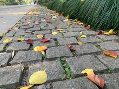 -杭州西湖风景名胜区-三生石