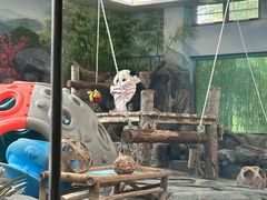 -武汉动物园