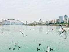 -绵阳科技馆