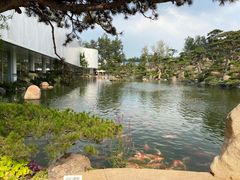 -罗红摄影艺术馆