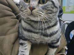 -狗舍宠物医院(四季商业广场店)