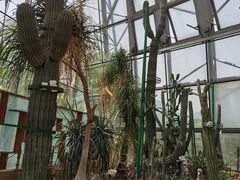 -北京植物园-展览温室