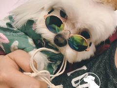 -萌宠主义宠物生活馆(金山路店)