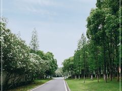 -宜兴龙背山森林公园