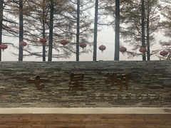 -塞罕坝国家级自然保护区