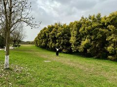 -白鹭湾湿地公园