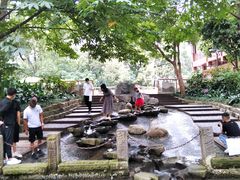 -成都市活水公园