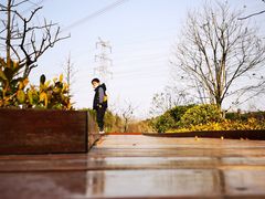 -昆山城市生态森林公园