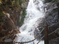 -九龙江国家森林公园