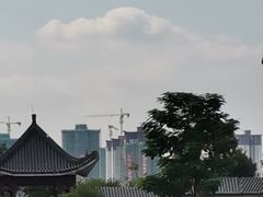-飞来湖湿地公园
