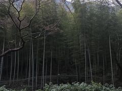 -黄公望隐居地