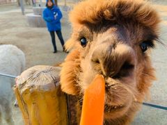 -南京金牛湖风景区