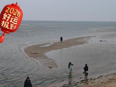 -北海金海湾红树林生态旅游区