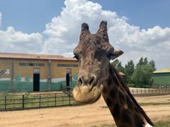 -鄂尔多斯野生动物园