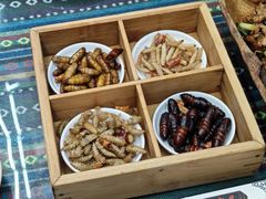 -昆虫窝子·特色云南菜(拓东路总店)
