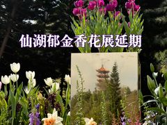 -深圳仙湖植物园