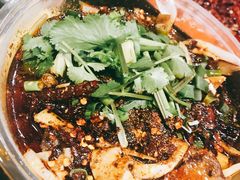 -肥龙火锅(南坪店)