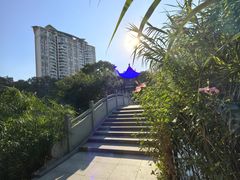 -四海公园(南山区)