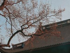 -灵隐飞来峰景区