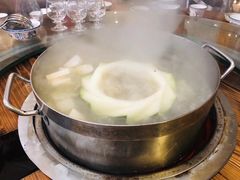 -南海鸽天下(肇庆店)