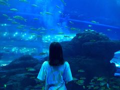 -成都浩海立方海洋公园