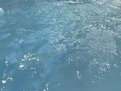 -青水瓦台汤泉(未央店)