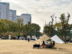 -新江湾城公园