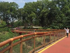 -白水带风景区体育公园