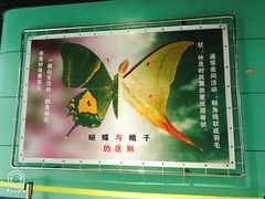 -上海昆虫博物馆