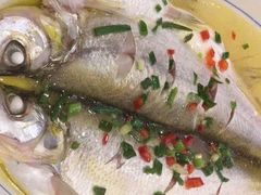 清蒸鲜白鱼-锡和无锡菜(景丽苑店)