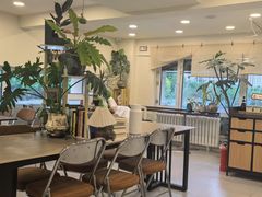 -阿九笨鸡蛋手擀面(总店)