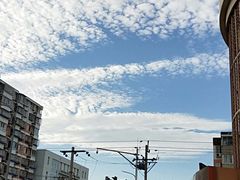 -大鸭梨烤鸭·北京菜(南小街/南苑店)