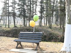 -宜兴龙背山森林公园