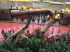 -揭东万竹园旅游景区