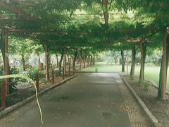 -嘉定紫藤园