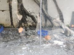 -南昌动物园