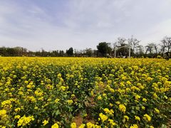-晋一碗刀削面·特色家常菜(云岗店)