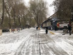 -张掖大佛寺景区