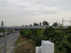 -宝安西湾红树林湿地公园