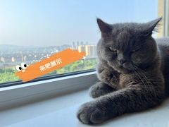 -那红花·东北菜铁锅炖(仙林金鹰店)