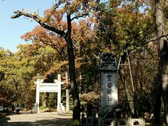-灵谷景区