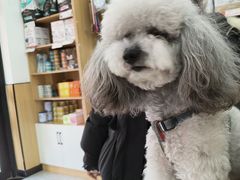 -瑞派长江宠物医院·猫科·外科·24小时夜护(谊城公寓分院)
